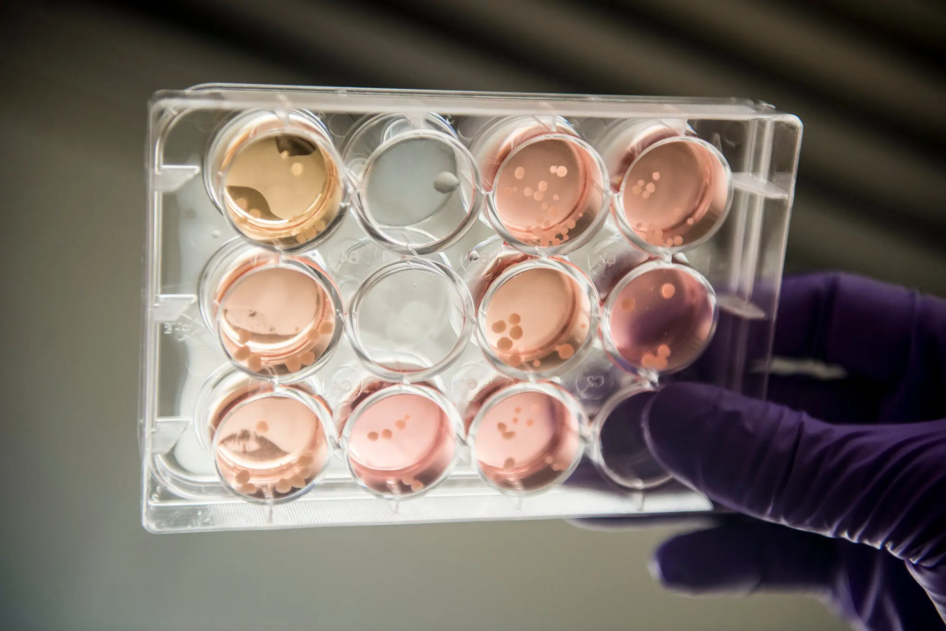 https://www.nccr-mse.ch/en/research/projects/project/ethical-and-regulatory-questions-related-to-engineered-molecular-systems/